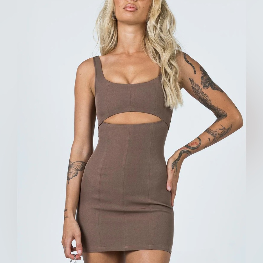 NWOT Princess Polly Brown Mini Dress